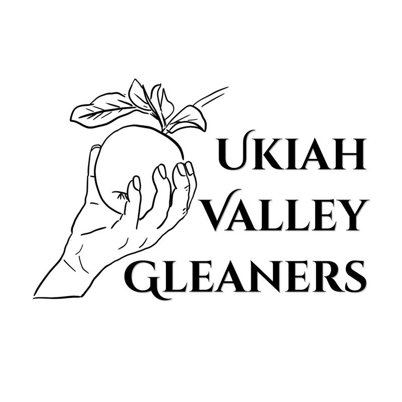 Logo: a line drawing of hand reaching up to pick an apple off its branch with the words Ukiah Valley Gleaners on the right.
