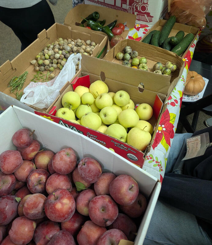 Boxes of food on a table for distribution, including apples, tomatillos, cucumbers, peppers, and potatoes.